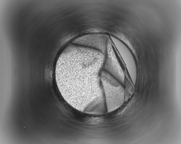 X0000093460063200711091557