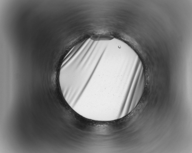 X0000093460066200711091557