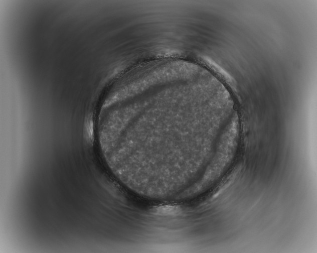 X0000093460067200711091557