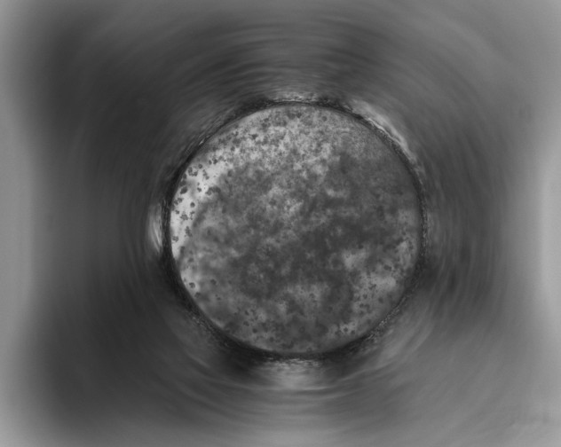 X0000093460069200711091557