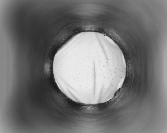 X0000093460074200711091557