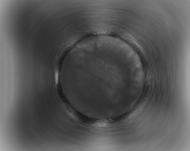 X0000093460076200711091557