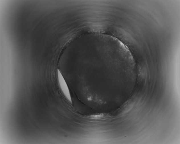 X0000093460080200711091557