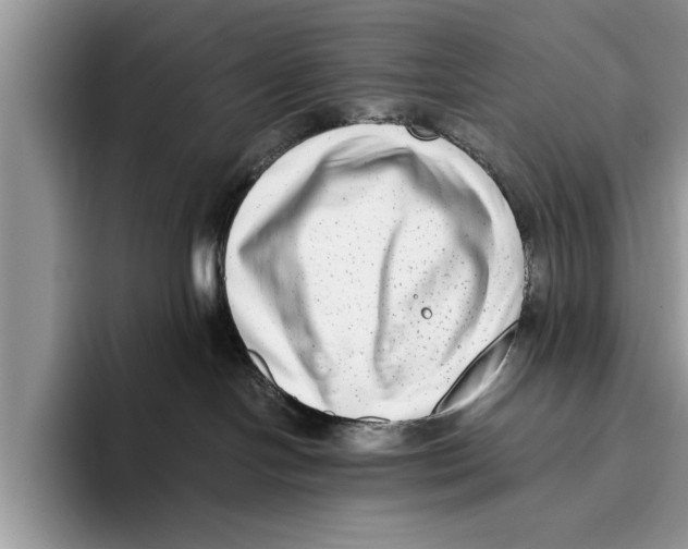 X0000093460094200711091557