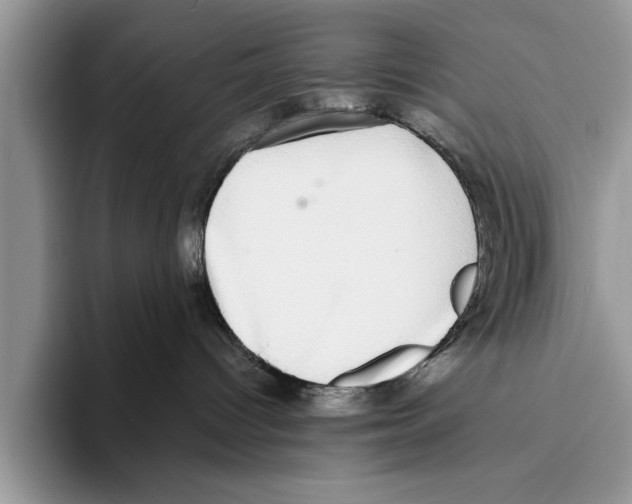 X0000093460096200711091557