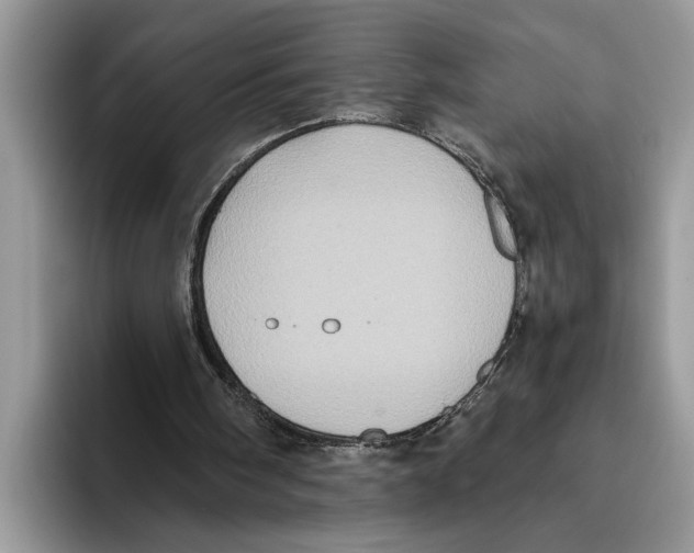 X0000093460098200711091556