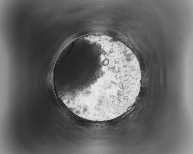 X0000093460099200711091556