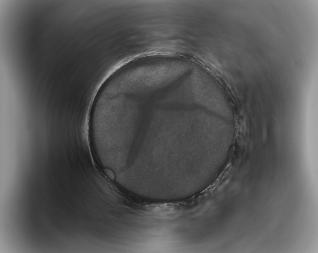 X0000093460100200711091556