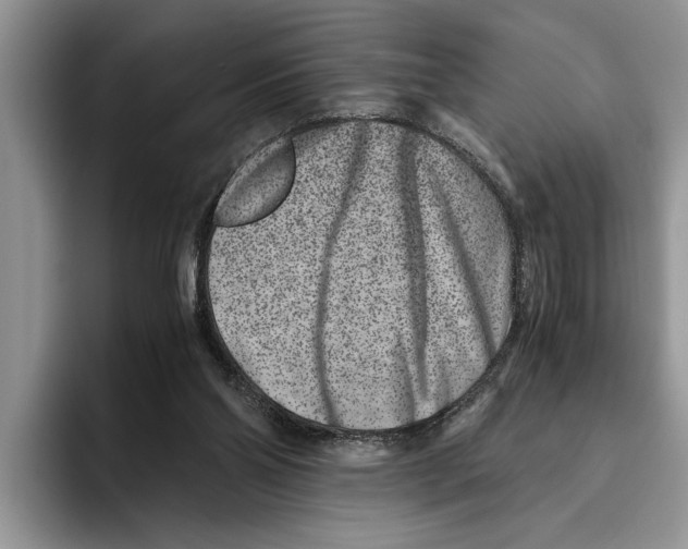 X0000093460110200711091556
