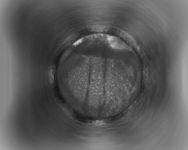 X0000093460114200711091556