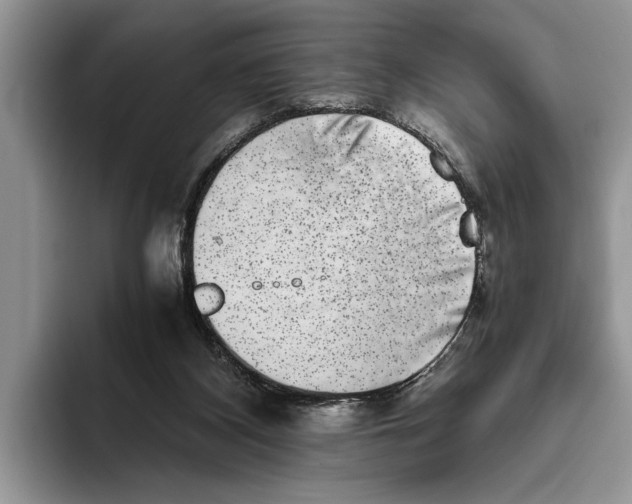 X0000093460116200711091556