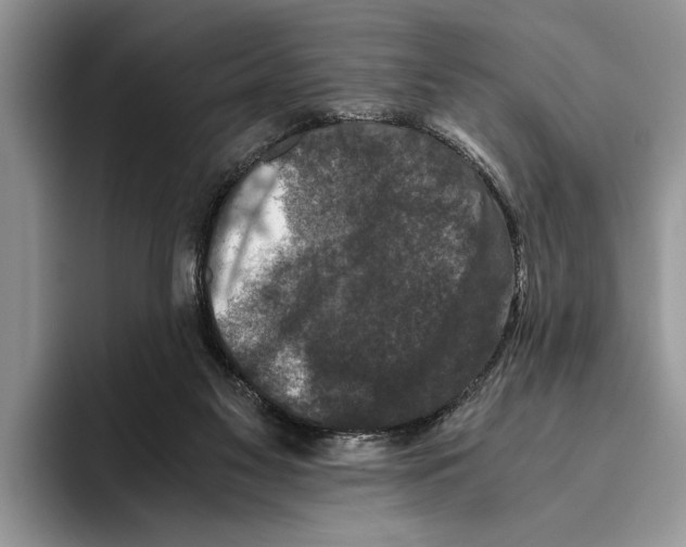 X0000093460117200711091556