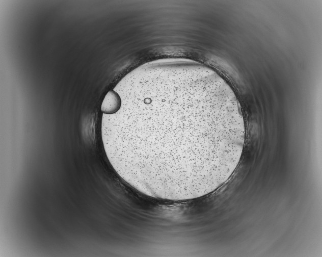 X0000093460120200711091556