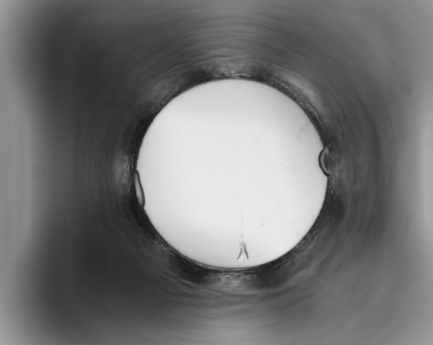 X0000093460121200711091556