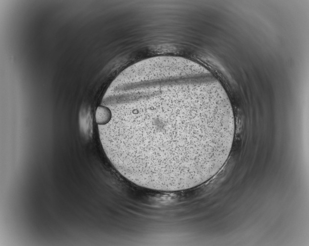 X0000093460124200711091556