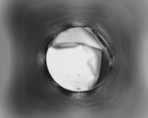 X0000093460125200711091556