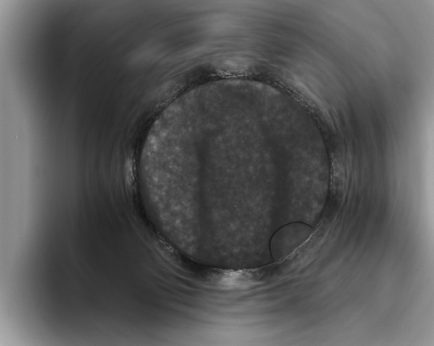 X0000093460130200711091556