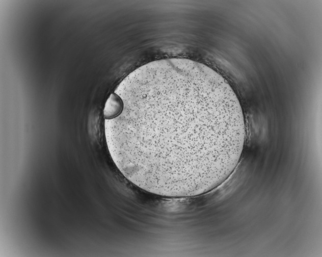 X0000093460136200711091556