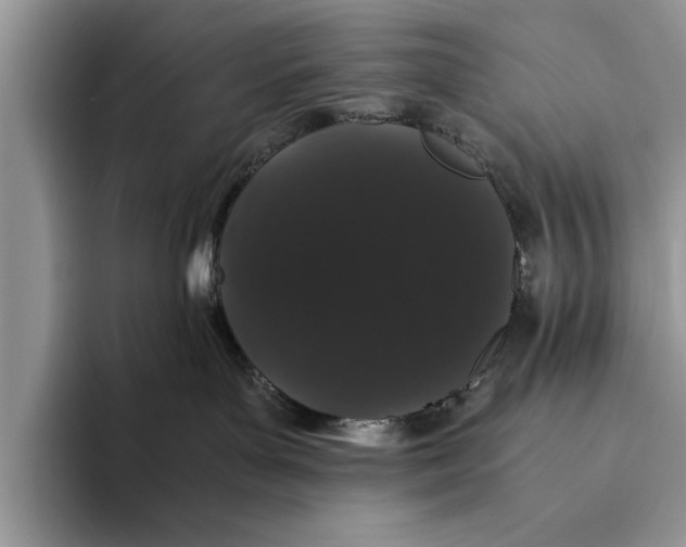 X0000093460143200711091556