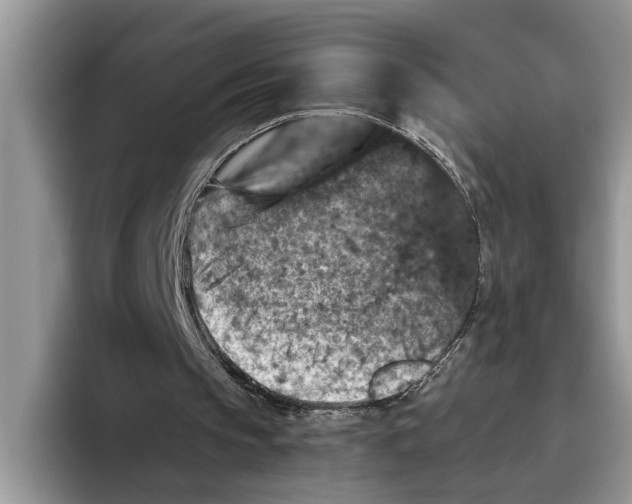 X0000093460145200711091555