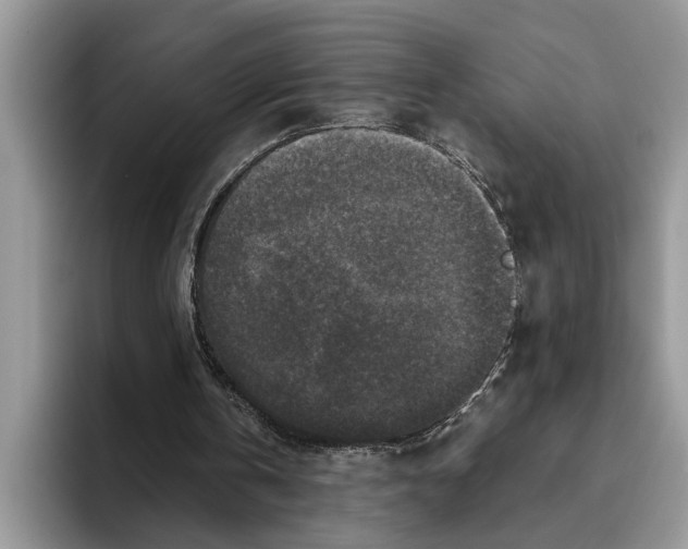 X0000093460146200711091555