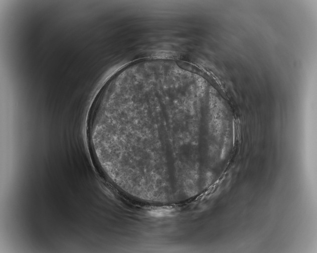 X0000093460147200711091555