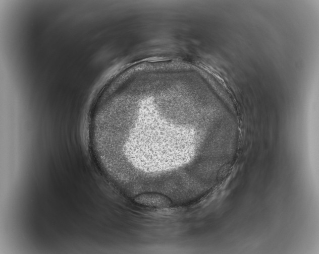 X0000093460149200711091555