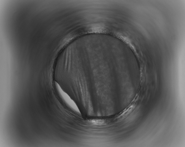 X0000093460154200711091555