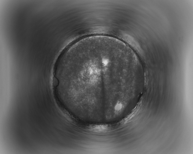 X0000093460156200711091555