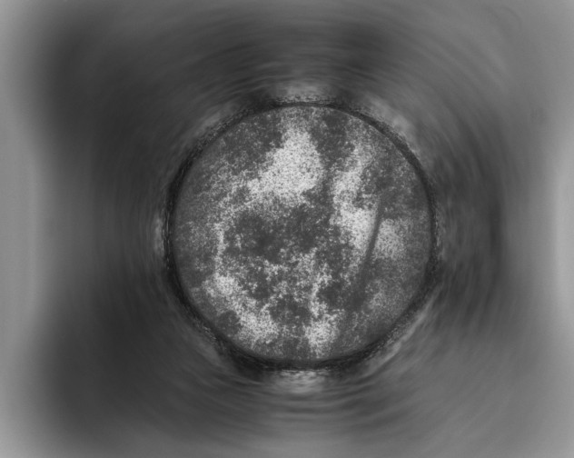 X0000093460161200711091556
