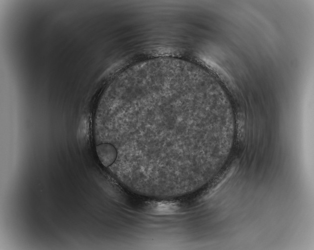 X0000093460165200711091556