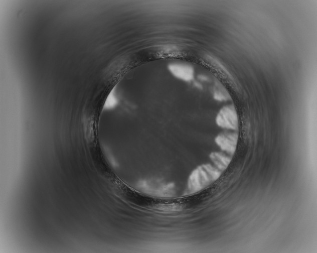X0000093460169200711091556