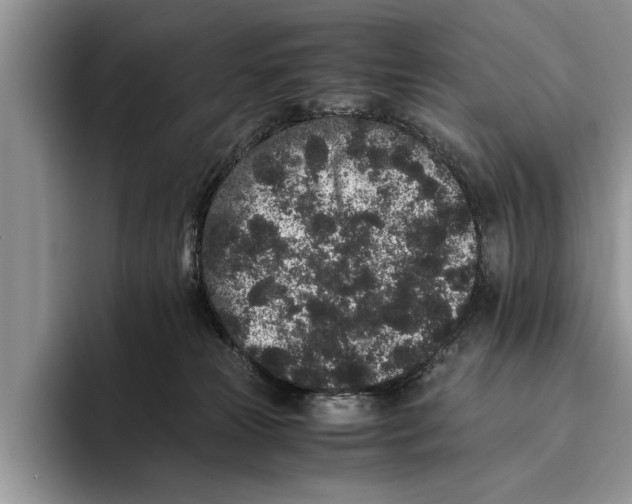 X0000093460181200711091556