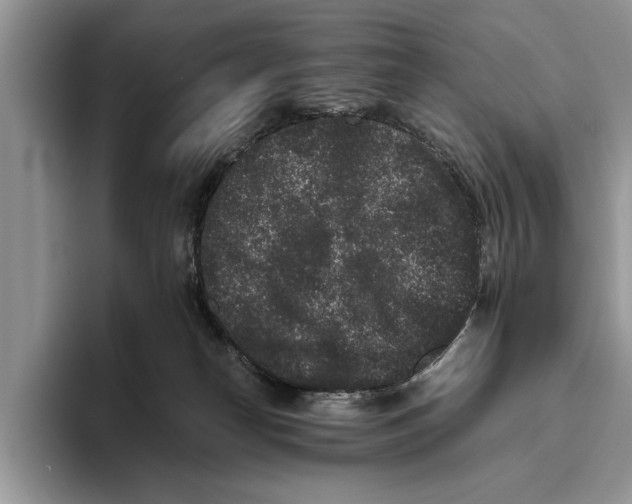 X0000093460182200711091556
