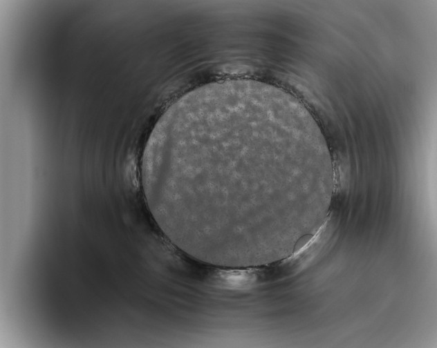 X0000093460187200711091556