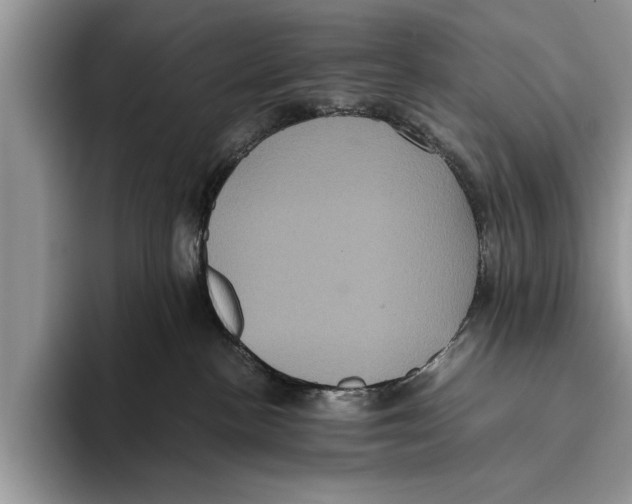 X0000093460188200711091556