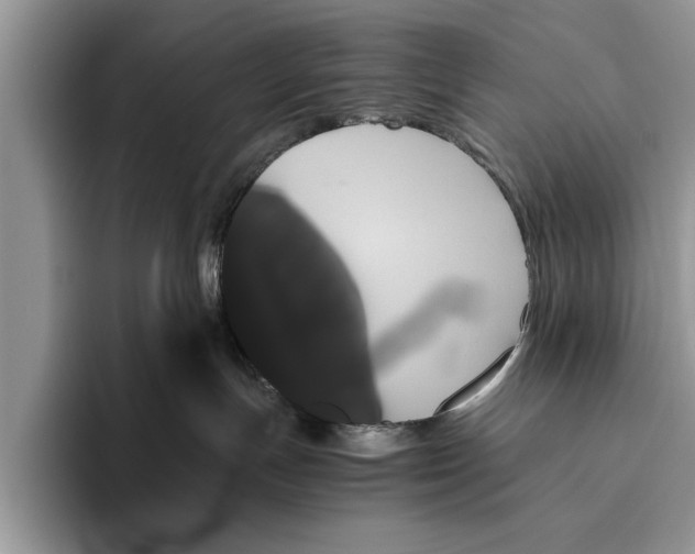X0000093460191200711091556