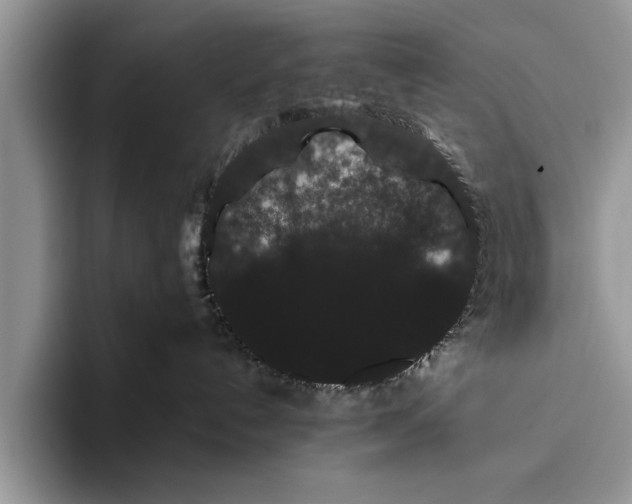 X0000093460192200711091556