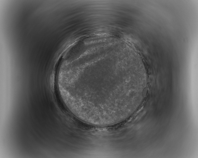 X0000093460194200711091555