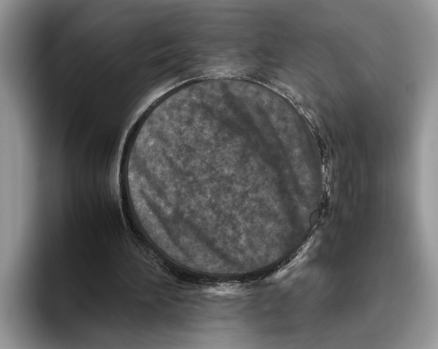 X0000093460196200711091555