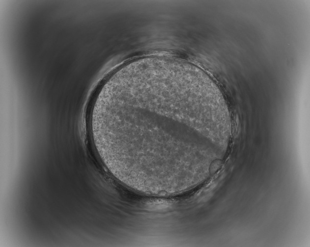 X0000093460198200711091555