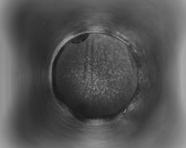 X0000093460200200711091555