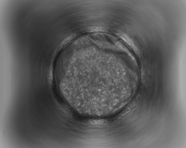 X0000093460202200711091555