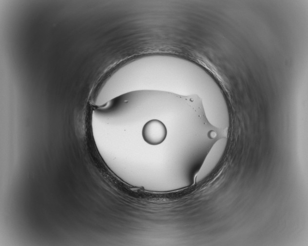 X0000093460203200711091555
