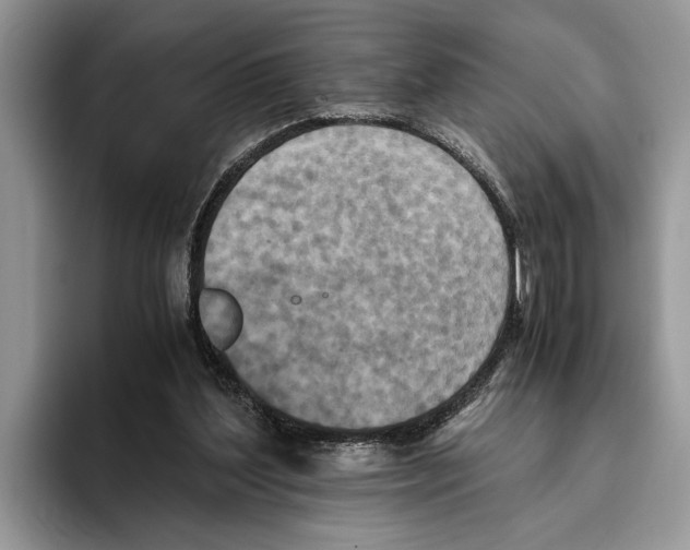 X0000093460204200711091555