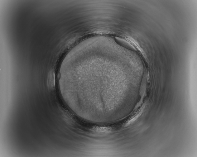 X0000093460205200711091555