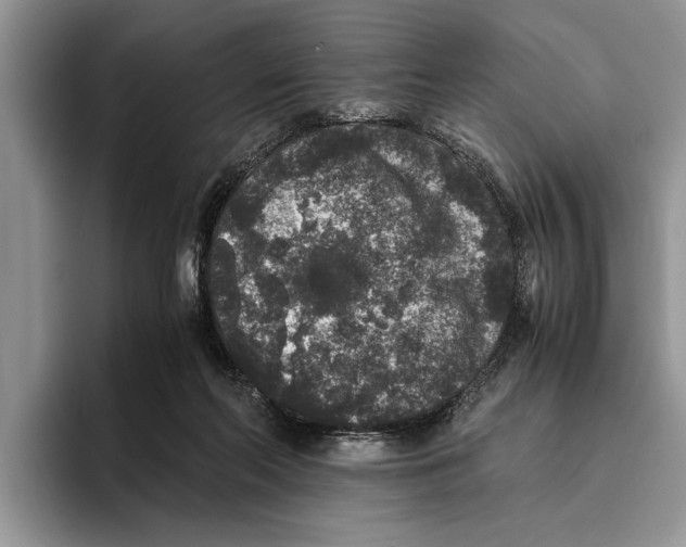 X0000093460214200711091555