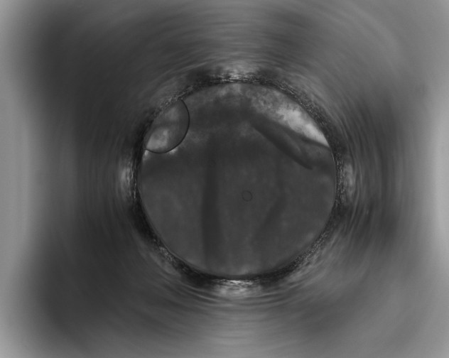 X0000093460222200711091555