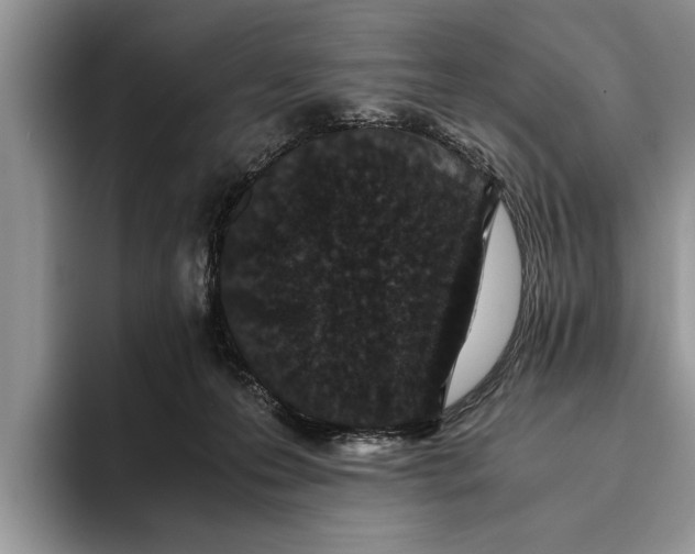 X0000093460223200711091555