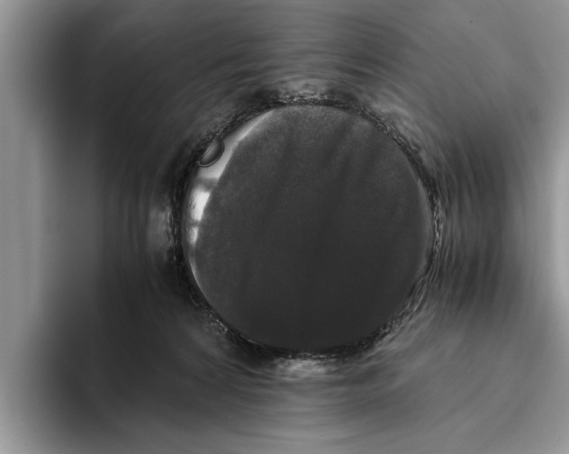 X0000093460224200711091555
